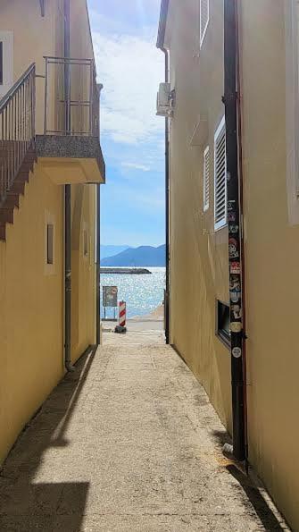 Apartment Studio, 70 Steps From The